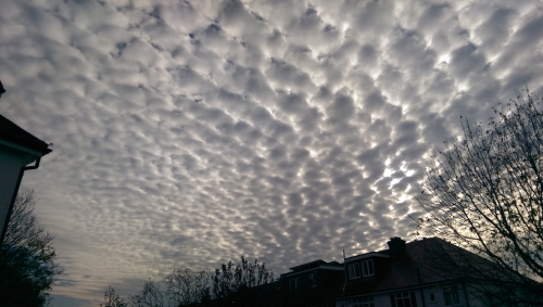 15-IMG_20201106_110030-w500