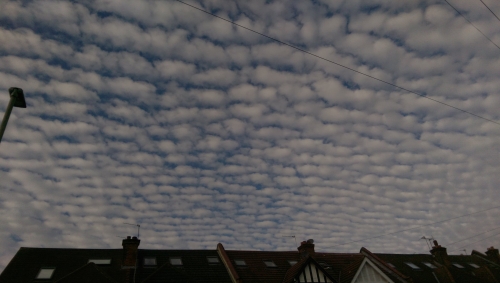 20-IMG_20201106_103843-w500