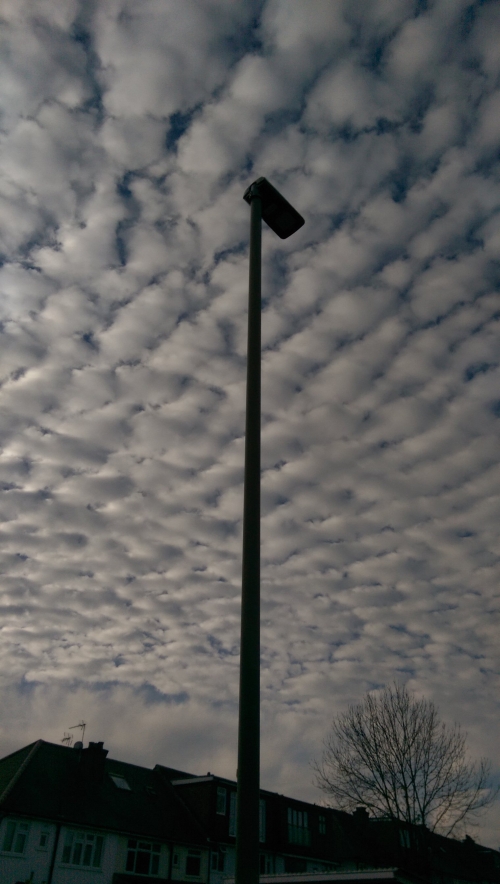 25-IMG_20201106_105001-w500