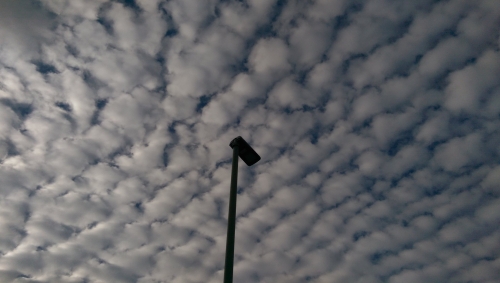 30-IMG_20201106_105008-w500