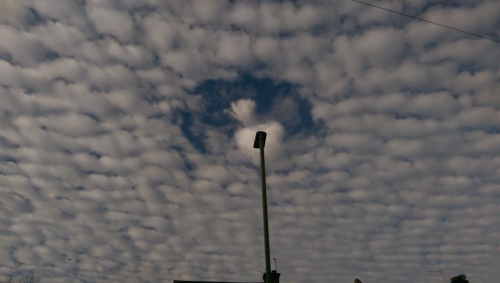 35-IMG_20201106_105751-w500