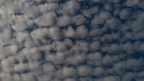 40-IMG_20201106_110201-w500