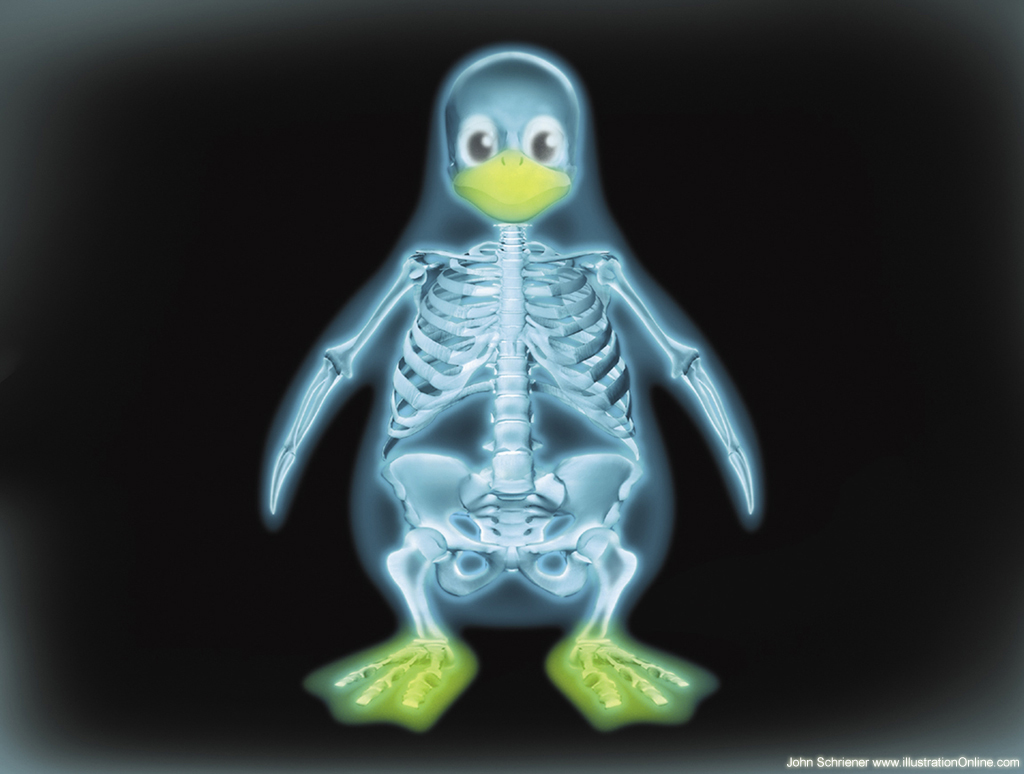 peguin-xray