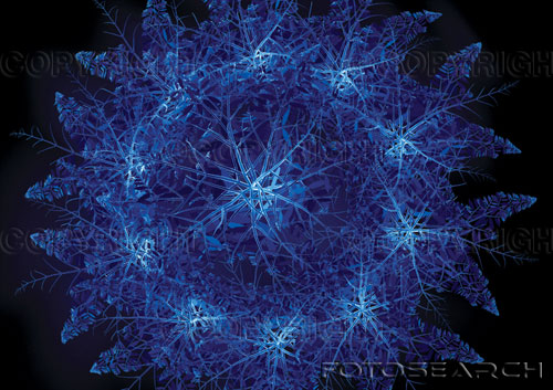 radiolarian-u11126517